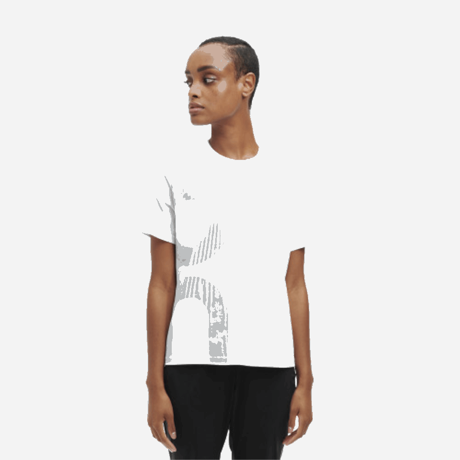 Graphic-t White-sea の実行時